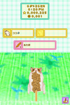 画像ギャラリー No.008のサムネイル画像 / 今度は赤ちゃんも育てられる！　数々の新要素を追加したNDS「ハムスターと暮らそう」の続編が2009年秋に発売決定