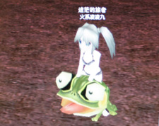 画像ギャラリー No.009のサムネイル画像 / ［CJ 09］可愛らしいキャラが登場する「情天Online」は，オシャレが楽しめるカジュアルMMORPG。ペットや騎乗生物も満載