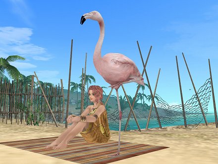画像ギャラリー No.005のサムネイル画像 / 「大航海時代 Online 〜El Oriente〜」で6月8日に実施されるアップデート「Star Festival」では，七夕にちなんだイベントが