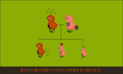 画像ギャラリー No.003のサムネイル画像 / トリたちをそっと見守るブラウザゲーム「TORINESIA(トリネシア)」,本日よりβテストを開始