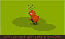 画像ギャラリー No.004のサムネイル画像 / トリたちをそっと見守るブラウザゲーム「TORINESIA(トリネシア)」,本日よりβテストを開始