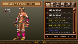 画像ギャラリー No.002のサムネイル画像 / 「グラディエータービギンズ」，TGS 2009限定配布アイテムを配信