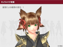 画像ギャラリー No.003のサムネイル画像 / ［CEDEC 2010］膨大なバリエーションをどう生み出すか。「ファンタシースターポータブル2」に見る，キャラクターメイクへのアプローチ