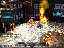 画像ギャラリー No.015のサムネイル画像 / クローズドβテストを終えたアクションRPG「DivineSoul」は，アクションゲームに厳しい日本のプレイヤーの目にどう映ったか