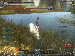 画像ギャラリー No.021のサムネイル画像 / クローズドβテストを終えたアクションRPG「DivineSoul」は，アクションゲームに厳しい日本のプレイヤーの目にどう映ったか