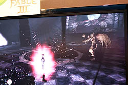 画像ギャラリー No.015のサムネイル画像 / ［E3 2010］PC版発売も発表「Fable III」プレイレポート，ピーター・モリニュー氏から直接お話も聞いてきたぞ！