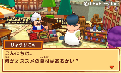 画像ギャラリー No.004のサムネイル画像 / 「ファンタジーライフ」は3DS用タイトルに変更。さらにイメージイラストを天野喜孝氏が手がけることも発表に。レベルファイブ,新作RPGの最新情報を公開