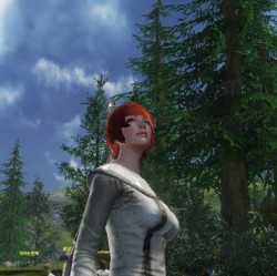 画像ギャラリー No.005のサムネイル画像 / 期待の新作「ArcheAge」は木にだって登れちゃう。韓国で行われたCBT3,生活系MMORPGファン必見のプレイレポートを掲載