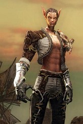 画像ギャラリー No.010のサムネイル画像 / 期待の新作「ArcheAge」は木にだって登れちゃう。韓国で行われたCBT3,生活系MMORPGファン必見のプレイレポートを掲載