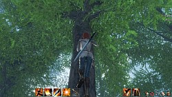 画像ギャラリー No.030のサムネイル画像 / 期待の新作「ArcheAge」は木にだって登れちゃう。韓国で行われたCBT3,生活系MMORPGファン必見のプレイレポートを掲載
