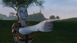 画像ギャラリー No.035のサムネイル画像 / 期待の新作「ArcheAge」は木にだって登れちゃう。韓国で行われたCBT3,生活系MMORPGファン必見のプレイレポートを掲載