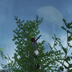 画像ギャラリー No.045のサムネイル画像 / 期待の新作「ArcheAge」は木にだって登れちゃう。韓国で行われたCBT3,生活系MMORPGファン必見のプレイレポートを掲載