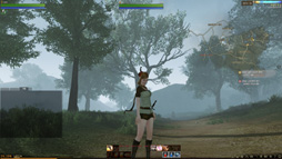画像ギャラリー No.026のサムネイル画像 / コアゲーマーの琴線に触れる新作MMORPG「ArcheAge」の韓国サーバーに潜入してみた。MMORPG黎明期を知るプレイヤーの心を引くものは何だったのか