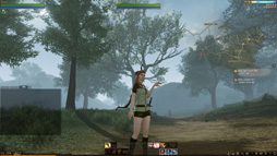 画像ギャラリー No.028のサムネイル画像 / コアゲーマーの琴線に触れる新作MMORPG「ArcheAge」の韓国サーバーに潜入してみた。MMORPG黎明期を知るプレイヤーの心を引くものは何だったのか