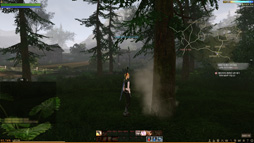 画像ギャラリー No.039のサムネイル画像 / コアゲーマーの琴線に触れる新作MMORPG「ArcheAge」の韓国サーバーに潜入してみた。MMORPG黎明期を知るプレイヤーの心を引くものは何だったのか