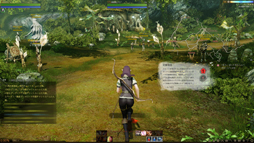 画像ギャラリー No.010のサムネイル画像 / MMORPG「ArcheAge」は，そこに住んでみたいと思わせる仮想世界だ。プレイヤーの誰もが開拓者になったファミリーテストに参加してみた