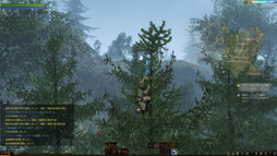 画像ギャラリー No.015のサムネイル画像 / MMORPG「ArcheAge」は，そこに住んでみたいと思わせる仮想世界だ。プレイヤーの誰もが開拓者になったファミリーテストに参加してみた
