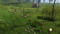 画像ギャラリー No.023のサムネイル画像 / MMORPG「ArcheAge」は，そこに住んでみたいと思わせる仮想世界だ。プレイヤーの誰もが開拓者になったファミリーテストに参加してみた