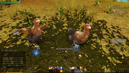 画像ギャラリー No.024のサムネイル画像 / MMORPG「ArcheAge」は，そこに住んでみたいと思わせる仮想世界だ。プレイヤーの誰もが開拓者になったファミリーテストに参加してみた