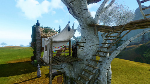 画像ギャラリー No.058のサムネイル画像 / 「ArcheAge」の大型アップデート「饗宴の園」を先行プレイ。桃源郷でアトラクションやアイドルのライブを楽しもう