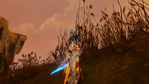 画像ギャラリー No.041のサムネイル画像 / 「ArcheAge」新レイドボス「リーウー」プレイレポート。解禁された大空を舞台に，巨鳥との大規模な戦争が始まる！