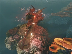 画像ギャラリー No.004のサムネイル画像 / 「ArcheAge」，3月14日のアップデートで導入される新船舶「亀甲船」の詳細，性別変更券などをゲーム内マネーでも購入可能になることが判明