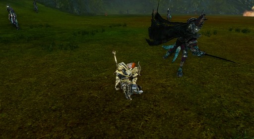 画像ギャラリー No.010のサムネイル画像 / 「ArcheAge」の新装備「古代装備」のドロップ率はどれくらい？ モンスター3000体を狩りまくって調べてみた