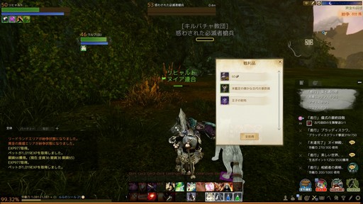 画像ギャラリー No.013のサムネイル画像 / 「ArcheAge」の新装備「古代装備」のドロップ率はどれくらい？ モンスター3000体を狩りまくって調べてみた