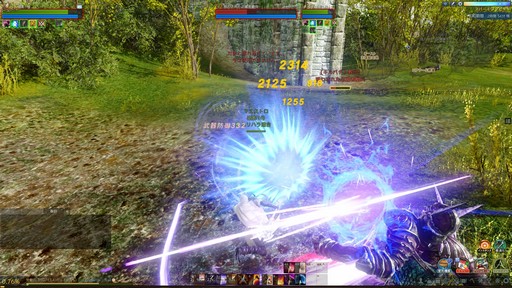 画像ギャラリー No.015のサムネイル画像 / 「ArcheAge」の新適性「暗影」先行試遊イベントが開催。「暗影」のプレイフィールをレポート