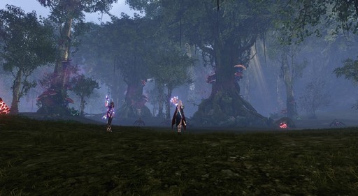 画像ギャラリー No.039のサムネイル画像 / 「ArcheAge」次期アップデート「ArcheAge6.5 庭園」プレイレポート。扉の先に広がるのはファンタジックな雰囲気を持つ修羅の世界だった