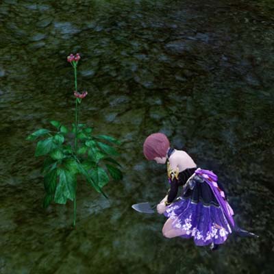 画像ギャラリー No.004のサムネイル画像 / 「ArcheAge」，イベント“ヒルノル最高のダンサー”＆“旧大陸の山ニンジン”が開催