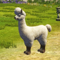 画像ギャラリー No.004のサムネイル画像 / 「ArcheAge」,新イベント“修行の道”が本日開始。新ペット・お洒落なラマも登場