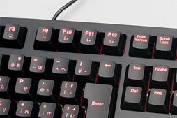 画像ギャラリー No.015のサムネイル画像 / BenQ ZOWIEの新作キーボード「CELERITAS II」レビュー。研ぎ澄まされたリニアなスイッチは文句なしに素晴らしい