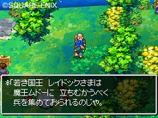 画像ギャラリー No.004のサムネイル画像 / 謎を解き明かそう。NDS「ドラゴンクエストVI　幻の大地」最新情報が公開に