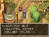 画像ギャラリー No.019のサムネイル画像 / 謎を解き明かそう。NDS「ドラゴンクエストVI 幻の大地」最新情報が公開に