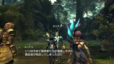 画像ギャラリー No.049のサムネイル画像 / 白騎士の冒険はまだ終わらない。PS3「白騎士物語 -光と闇の覚醒-」，2011年初頭までのアップデート計画を公開