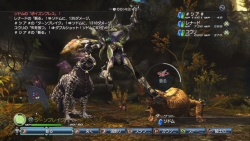画像ギャラリー No.053のサムネイル画像 / 白騎士の冒険はまだ終わらない。PS3「白騎士物語 -光と闇の覚醒-」,2011年初頭までのアップデート計画を公開
