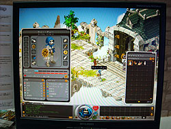 画像ギャラリー No.002のサムネイル画像 / ［TGS 2009］フランス人は“萌え”を理解している！ キャラクターがかわいいMMORPG「Dofus（ドフス）」が日本語化されて上陸