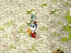 画像ギャラリー No.005のサムネイル画像 / クラス紹介ムービー第2弾も4GamerにUp。新作MMORPG「DOFUS（ドフス）」，OBTに先駆けた1日限定のオープンテクニカルテストを9月15日に実施