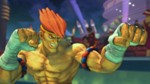 画像ギャラリー No.003のサムネイル画像 / 「スーパーストリートファイターIV」にZEROシリーズより「アドン」「コーディ」「ガイ」が参戦決定！ 今回は「アドン」の情報が公開に