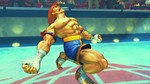 画像ギャラリー No.004のサムネイル画像 / 「スーパーストリートファイターIV」にZEROシリーズより「アドン」「コーディ」「ガイ」が参戦決定！ 今回は「アドン」の情報が公開に