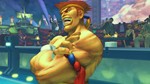 画像ギャラリー No.005のサムネイル画像 / 「スーパーストリートファイターIV」にZEROシリーズより「アドン」「コーディ」「ガイ」が参戦決定！ 今回は「アドン」の情報が公開に