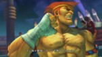 画像ギャラリー No.006のサムネイル画像 / 「スーパーストリートファイターIV」にZEROシリーズより「アドン」「コーディ」「ガイ」が参戦決定！ 今回は「アドン」の情報が公開に