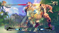 画像ギャラリー No.029のサムネイル画像 / 「スーパーストリートファイターIV」，「ガイ」「コーディー」「アドン」のウルトラコンボ紹介＆最新スペシャルトレーラーを掲載