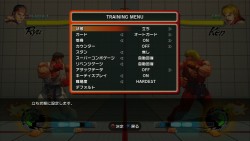 画像ギャラリー No.031のサムネイル画像 / 「極めろ！道，悟れよ！我」すべての格闘ゲームファンとその子供達に贈るシリーズ最新作「スーパーストリートファイターIV」レビュー