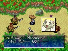 画像ギャラリー No.014のサムネイル画像 / 南の島を舞台に新たな冒険が始まる！　人気シリーズ最新作「不思議のダンジョン　風来のシレン4　神の眼と悪魔のヘソ」が今冬発売