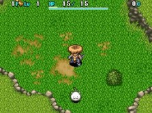 画像ギャラリー No.028のサムネイル画像 / 南の島を舞台に新たな冒険が始まる！　人気シリーズ最新作「不思議のダンジョン　風来のシレン4　神の眼と悪魔のヘソ」が今冬発売