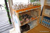 画像ギャラリー No.029のサムネイル画像 / カプコンファンはいざ鎌倉！　限定グッズも販売されている腰越海水浴場の「CAPCOM SEASIDE HOUSE」に行ってきた