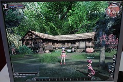 画像ギャラリー No.011のサムネイル画像 / ［G★2009］8月にグローバル展開が発表された中国産のMMORPG「龍-Loong-」とは？　プロモーションムービーもUp