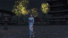 画像ギャラリー No.003のサムネイル画像 / 「信長の野望 Online 〜新星の章〜」，“花火星”を集めて花火や浴衣を入手